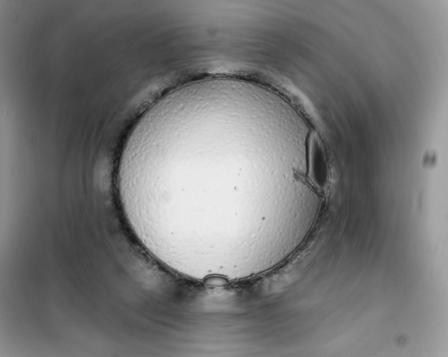 X0000101980257200808011106