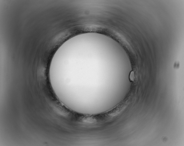 X0000101980258200808011106