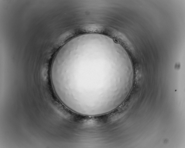 X0000101980259200808011106