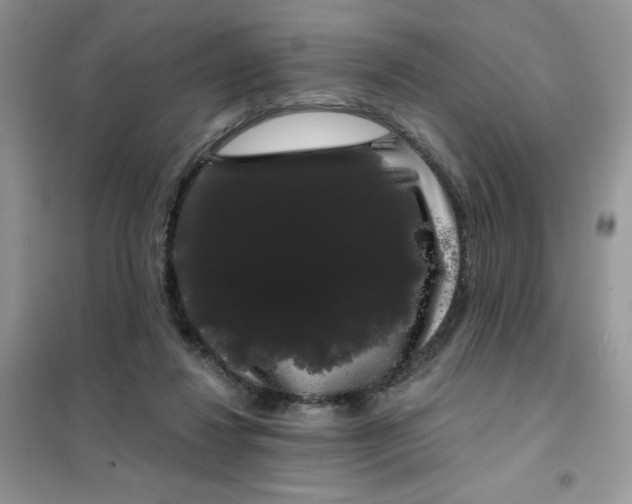 X0000101980260200808011106