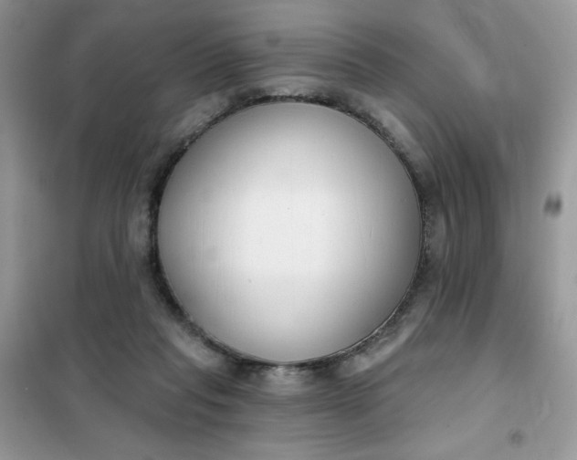 X0000101980261200808011106