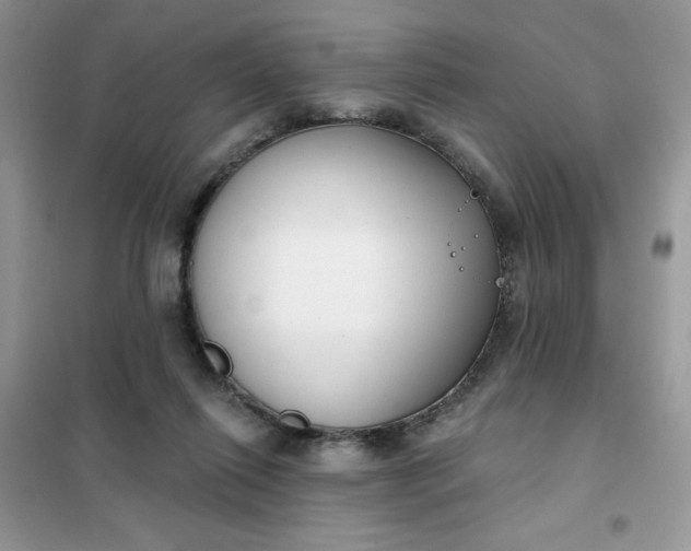 X0000101980262200808011106