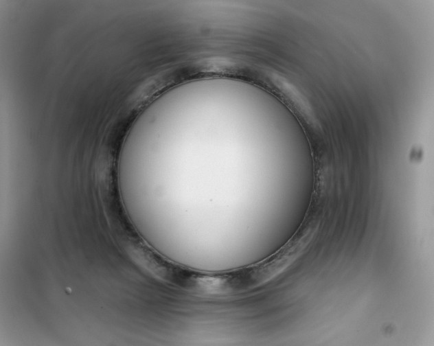 X0000101980265200808011106