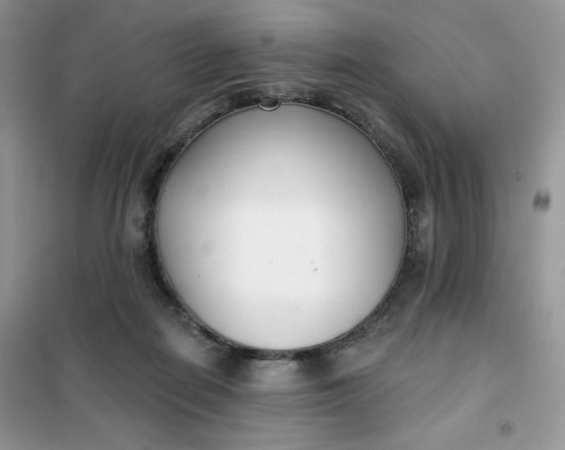 X0000101980266200808011106