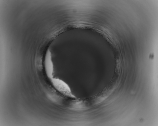 X0000101980267200808011106