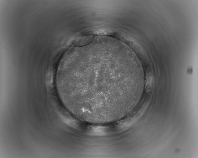 X0000101980268200808011106