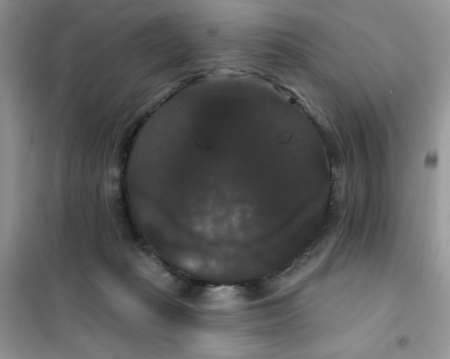 X0000101980269200808011106