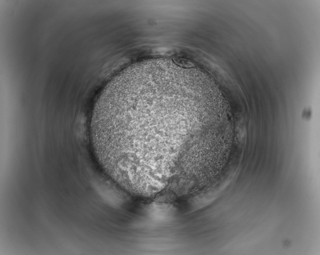 X0000101980270200808011106