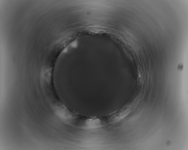 X0000101980271200808011106