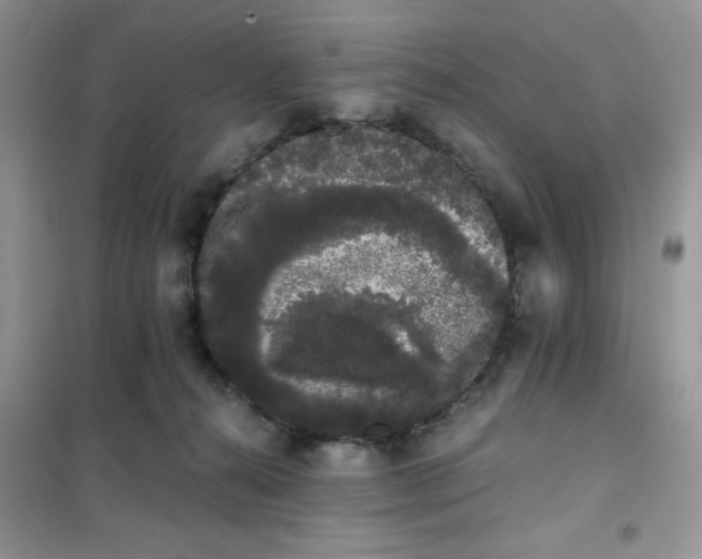 X0000101980272200808011106