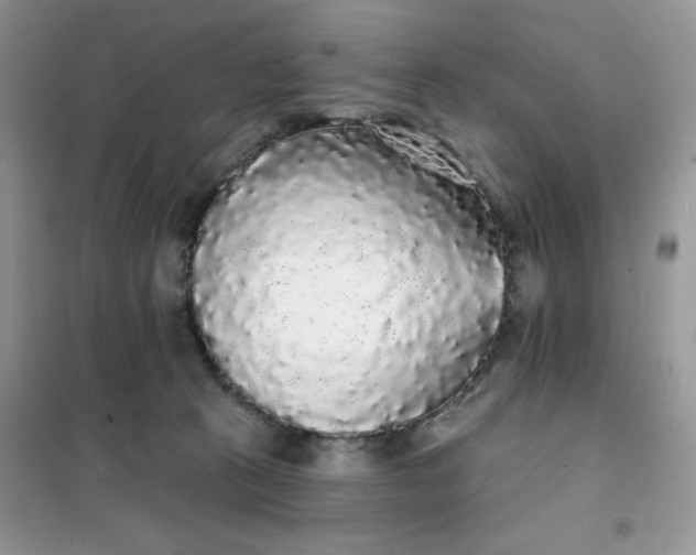 X0000101980273200808011106