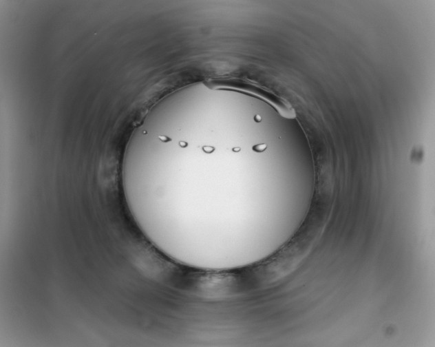 X0000101980274200808011106