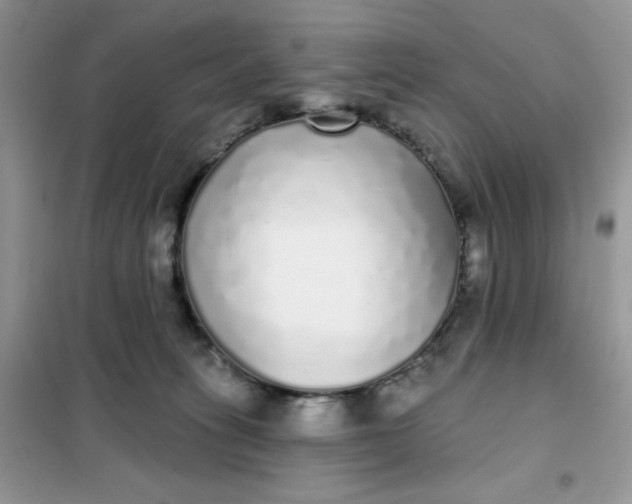 X0000101980275200808011106