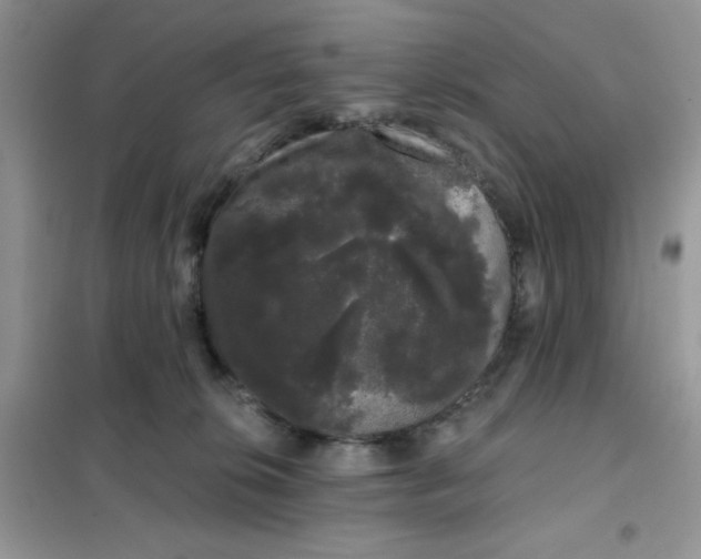 X0000101980276200808011106