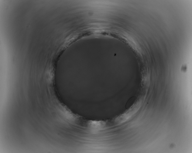 X0000101980277200808011106