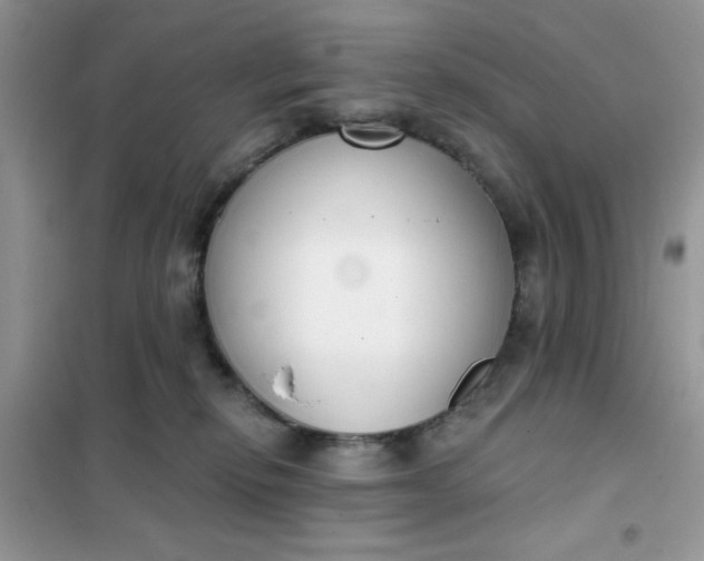 X0000101980278200808011106