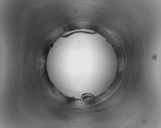 X0000101980279200808011106