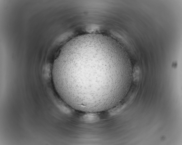 X0000101980280200808011106