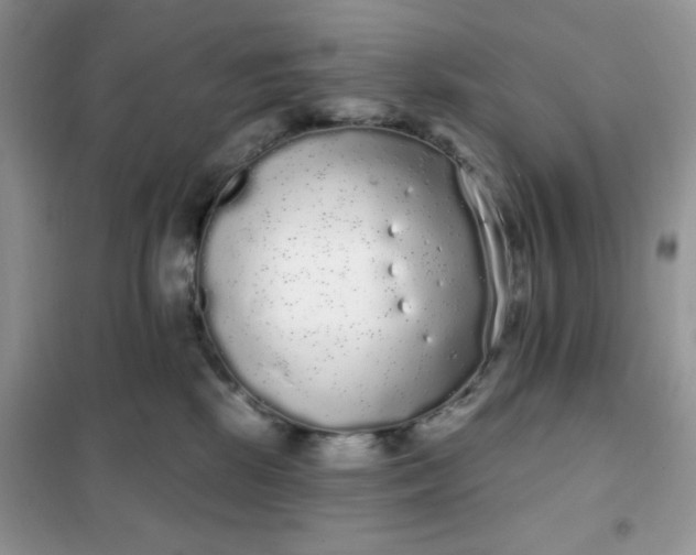 X0000101980281200808011106