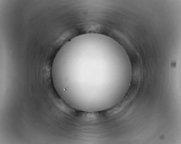 X0000101980282200808011107