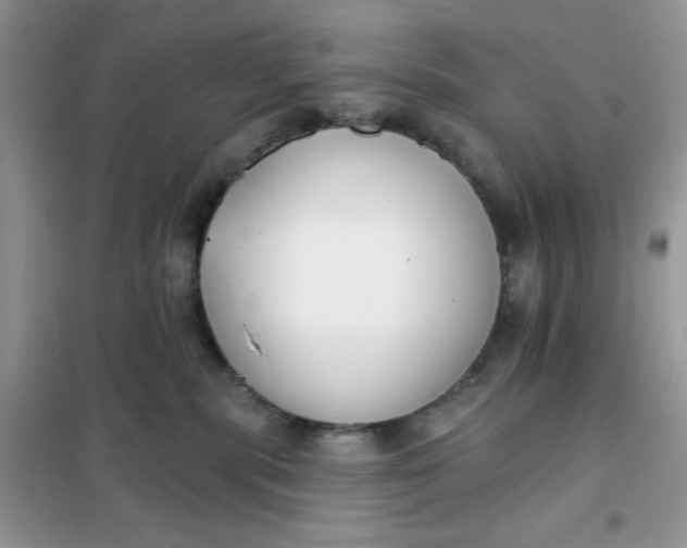 X0000101980283200808011107