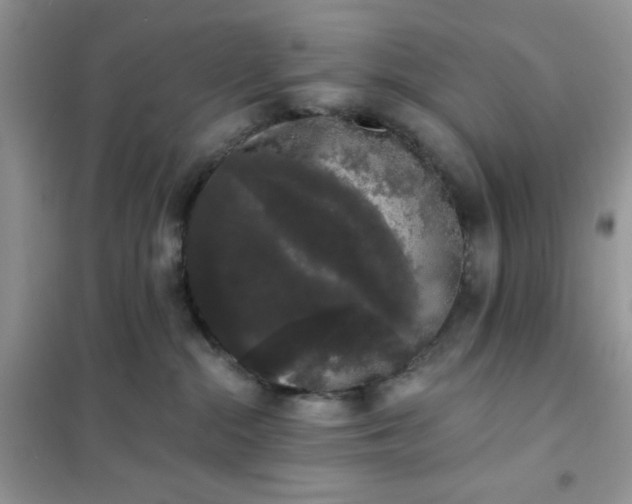 X0000101980284200808011107