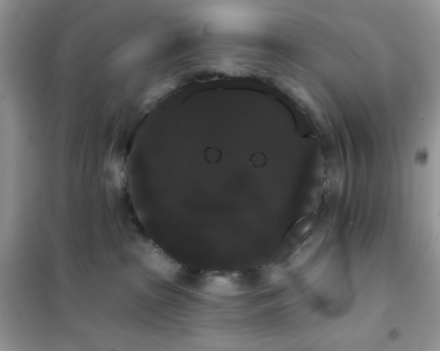 X0000101980285200808011107