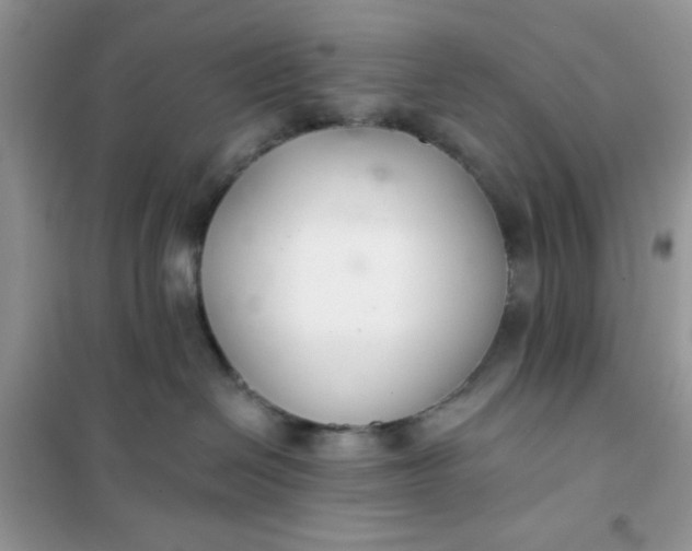 X0000101980286200808011107