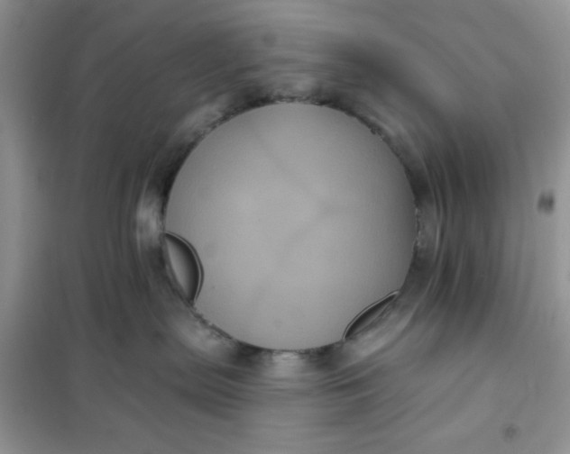 X0000101980287200808011107