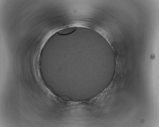 X0000101980289200808011106