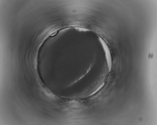 X0000101980290200808011106