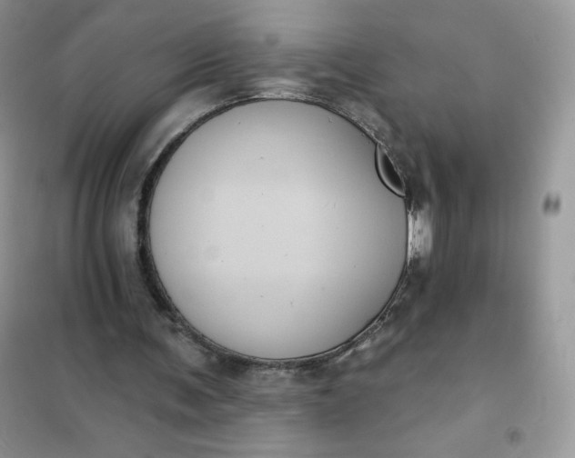 X0000101980291200808011106