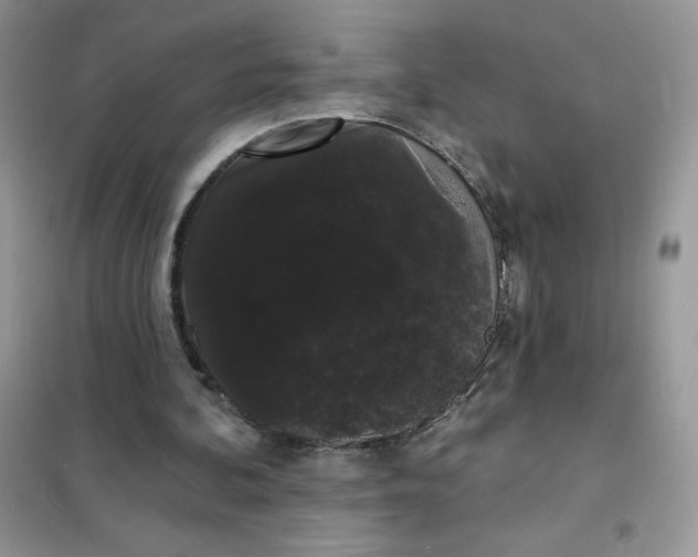 X0000101980292200808011106