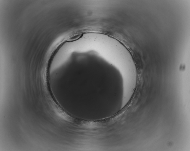 X0000101980293200808011106