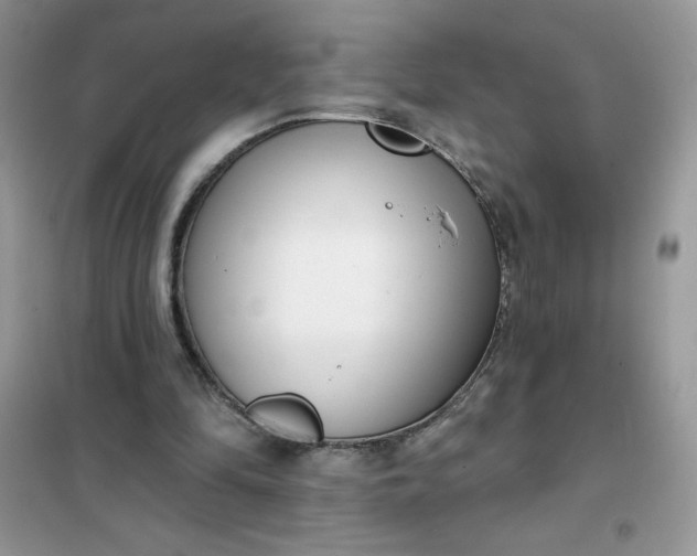 X0000101980294200808011106