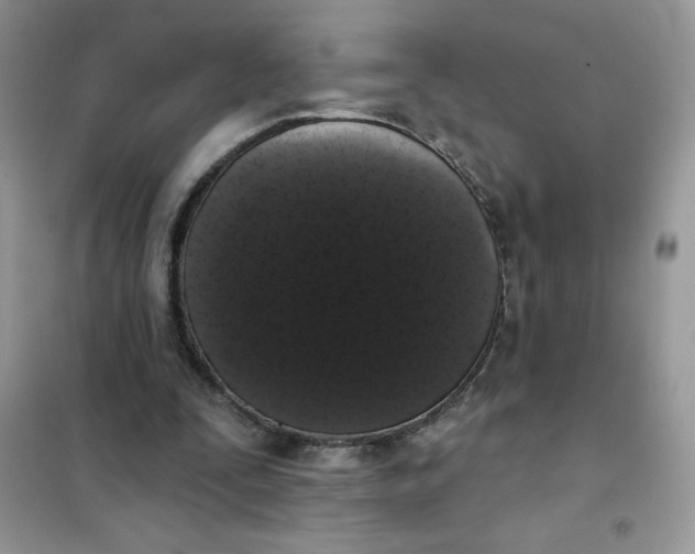 X0000101980295200808011106