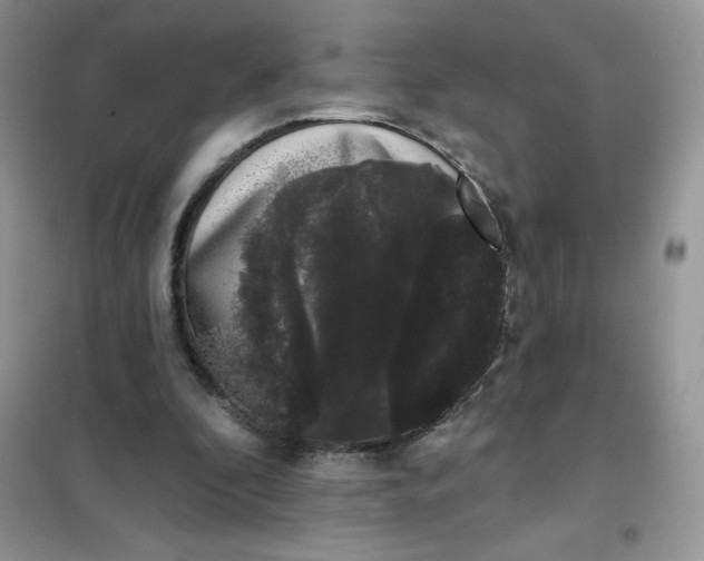 X0000101980296200808011106