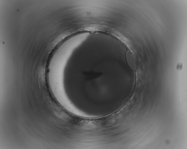 X0000101980297200808011106