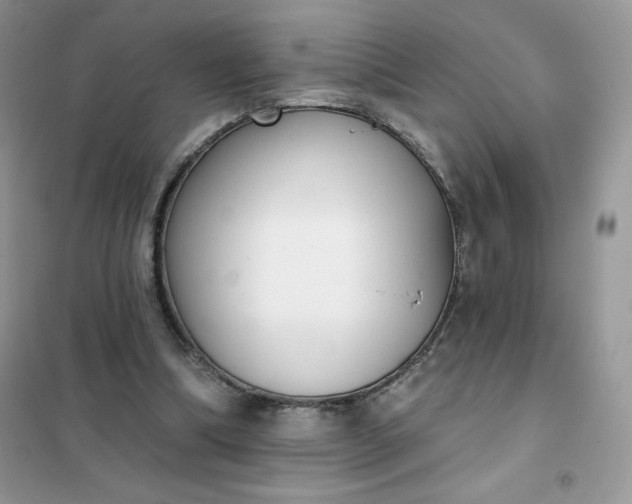 X0000101980298200808011106