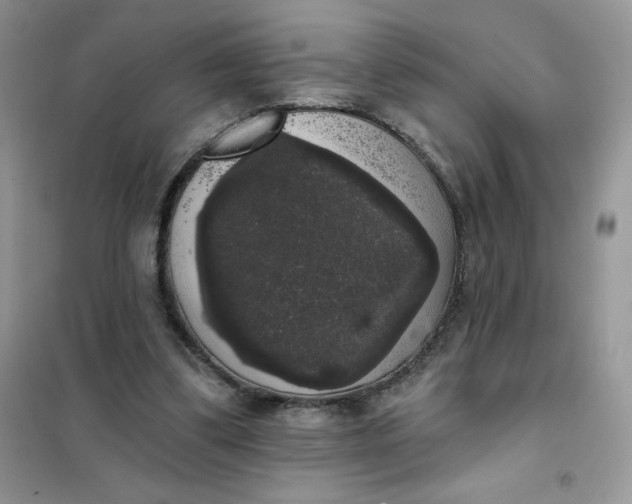 X0000101980299200808011106