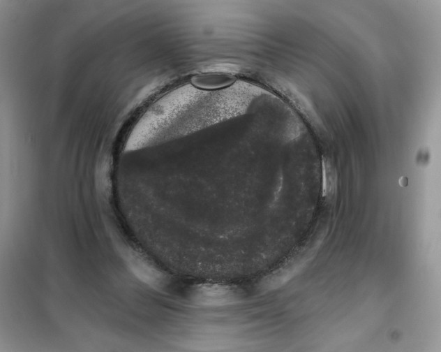 X0000101980300200808011106