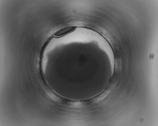 X0000101980301200808011106