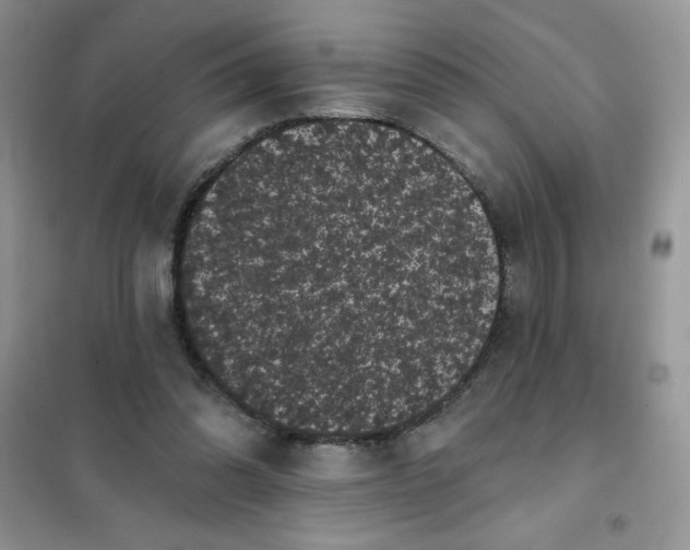 X0000101980302200808011106