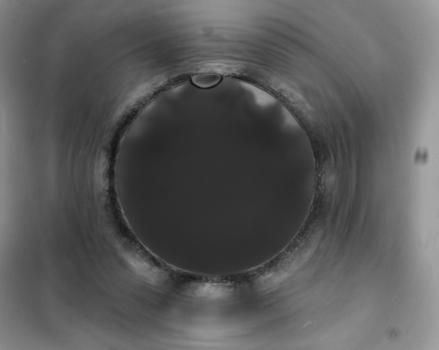 X0000101980303200808011106