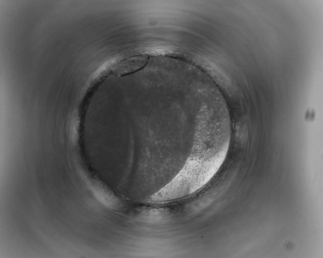 X0000101980304200808011106