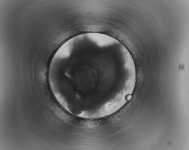 X0000101980305200808011106