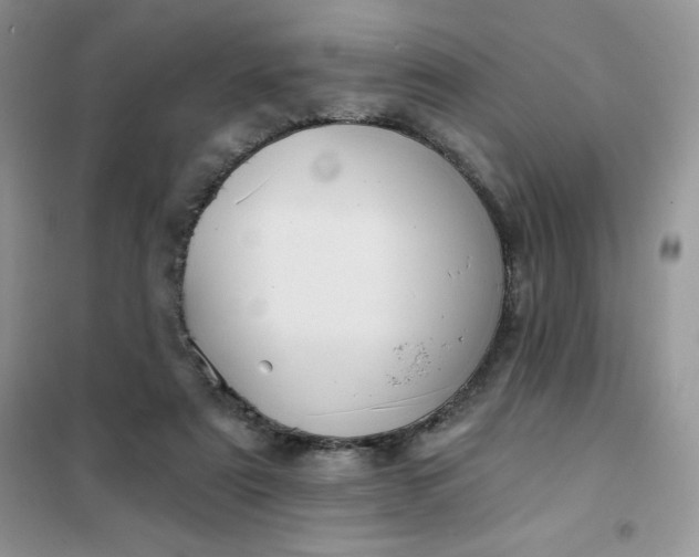 X0000101980307200808011106