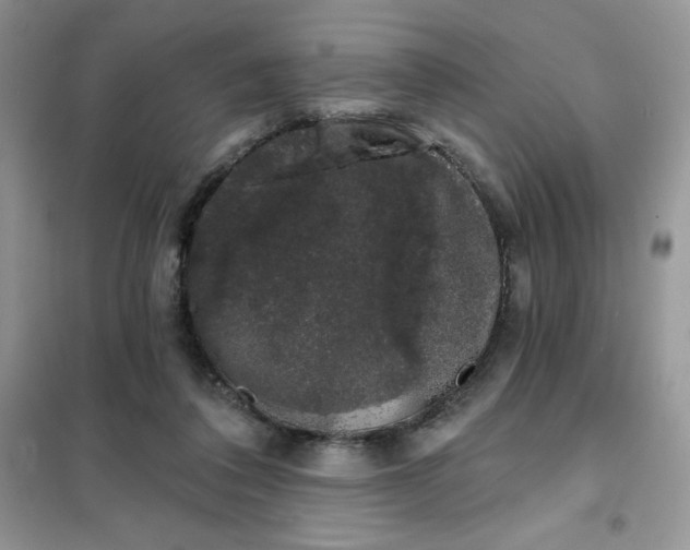 X0000101980308200808011106