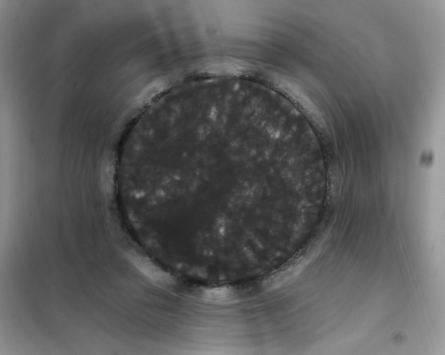 X0000101980309200808011106