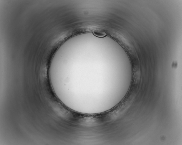 X0000101980310200808011106